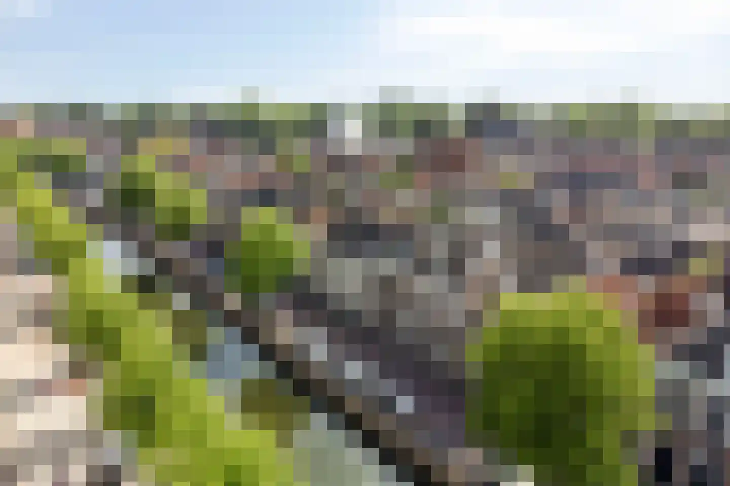 Vloeddijk 112 Kampen thumbnail 14