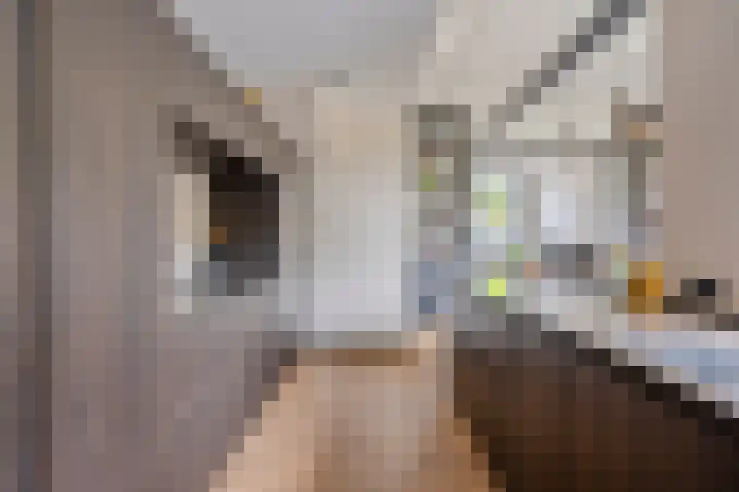 Vloeddijk 112 Kampen thumbnail 33