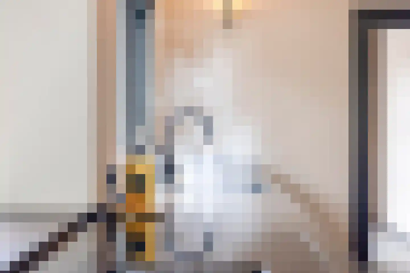 Vloeddijk 112 Kampen thumbnail 36