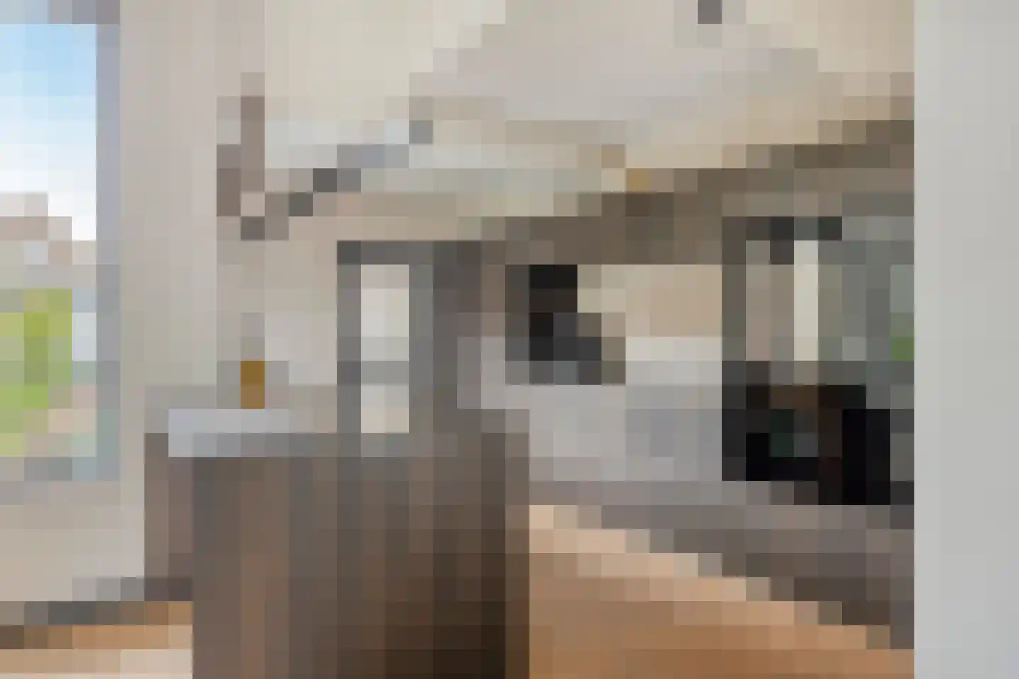 Vloeddijk 112 Kampen thumbnail 5