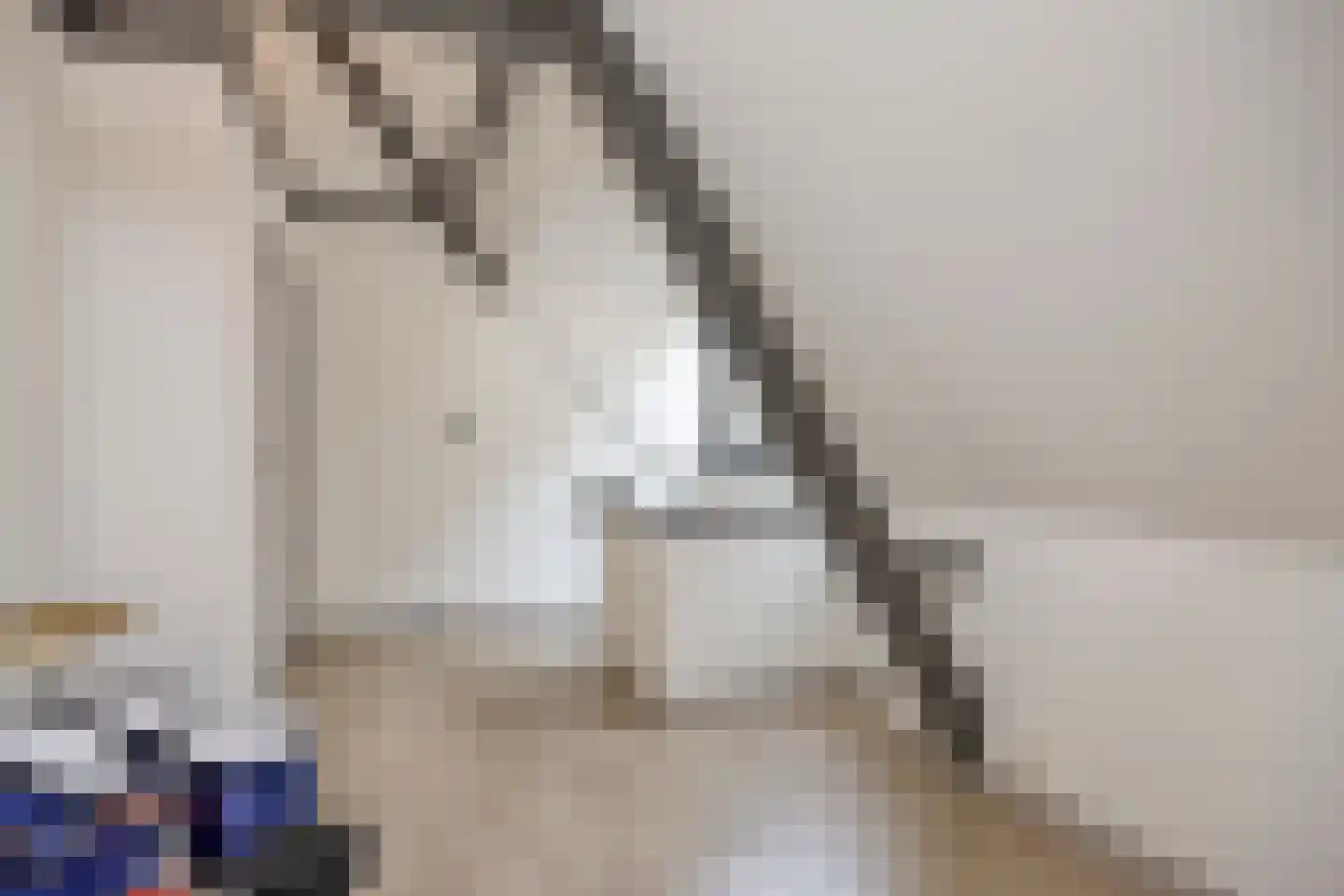 Vloeddijk 112 Kampen thumbnail 55