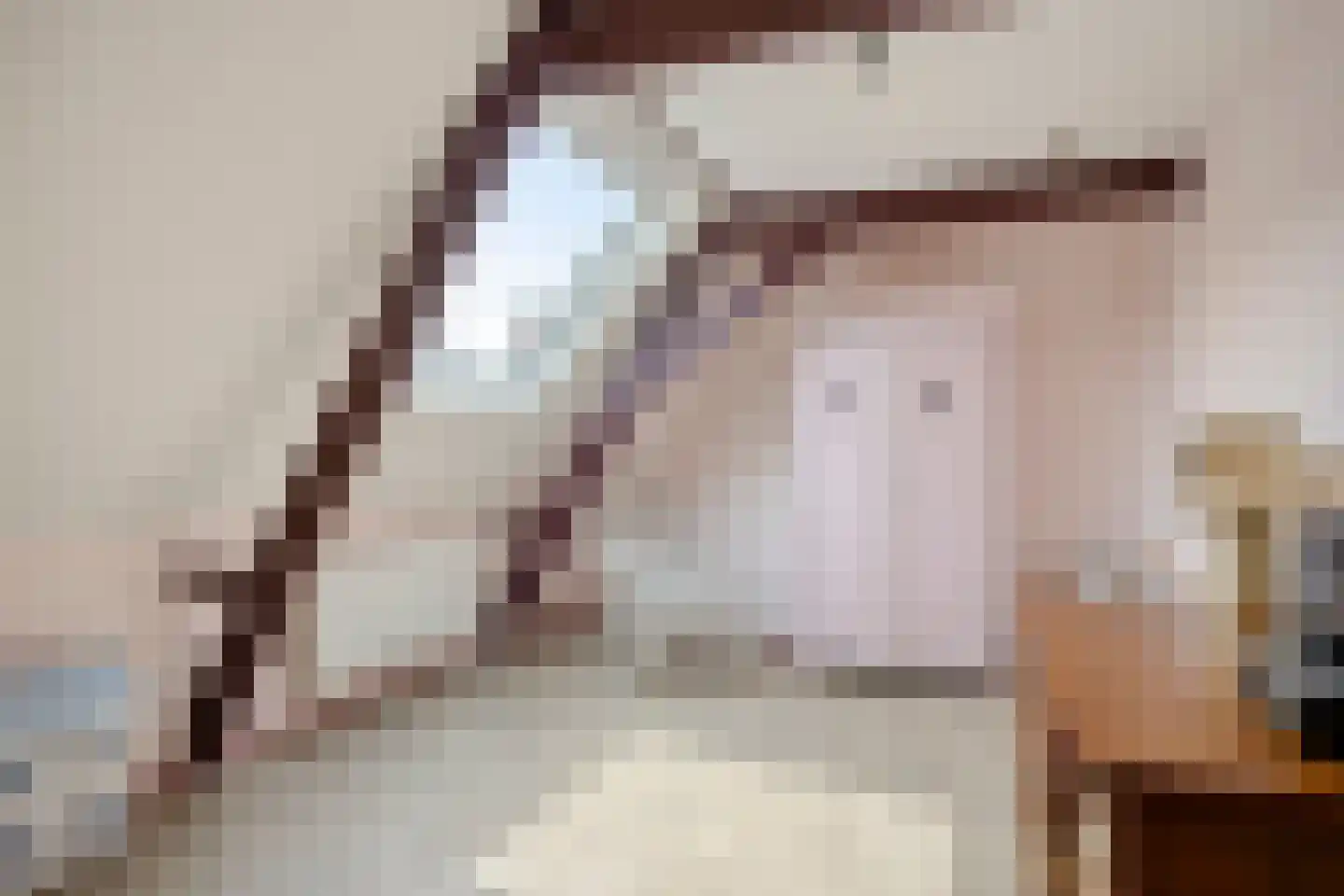 Vloeddijk 112 Kampen thumbnail 57