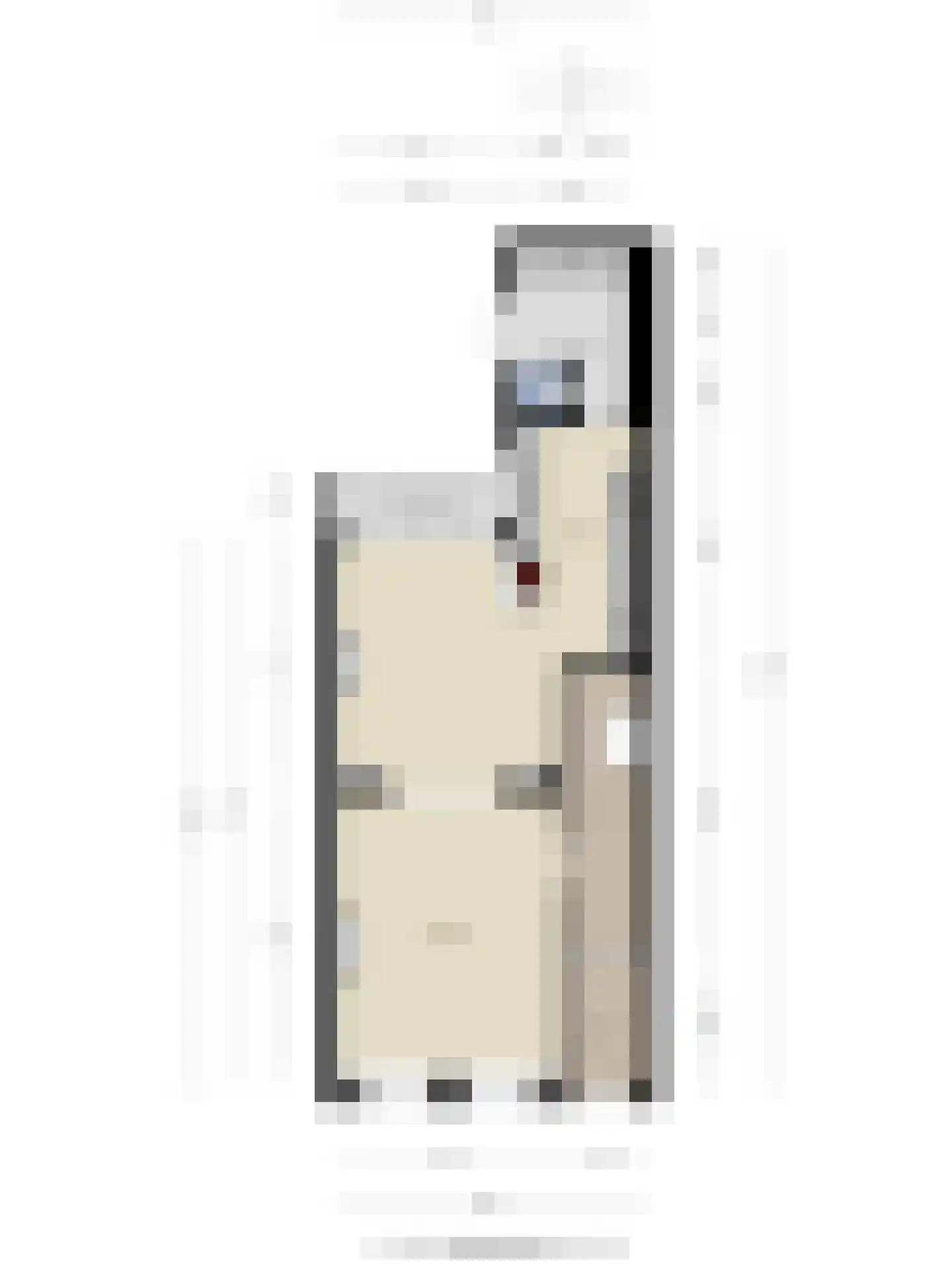 Vloeddijk 112 Kampen thumbnail 74