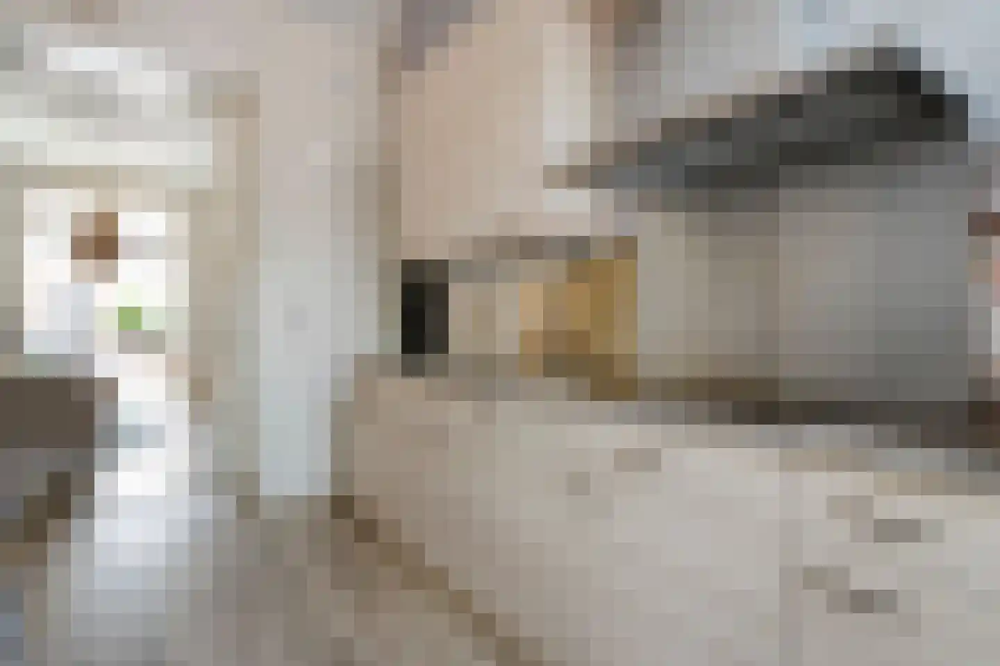 Vloeddijk 150 Kampen thumbnail 10