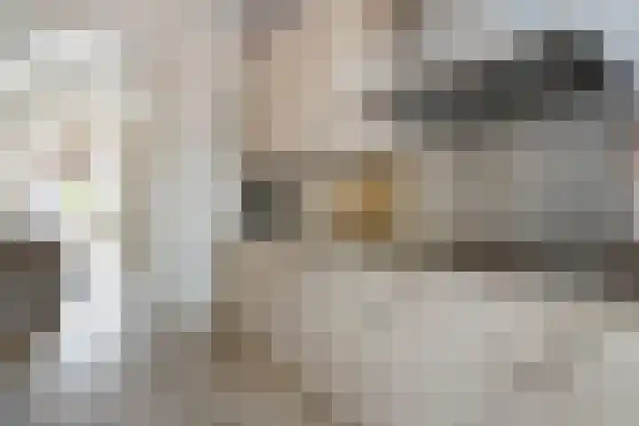 Vloeddijk 150 Kampen thumbnail 10