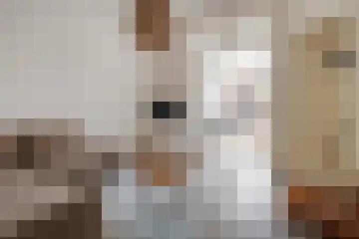 Vloeddijk 150 Kampen thumbnail 12