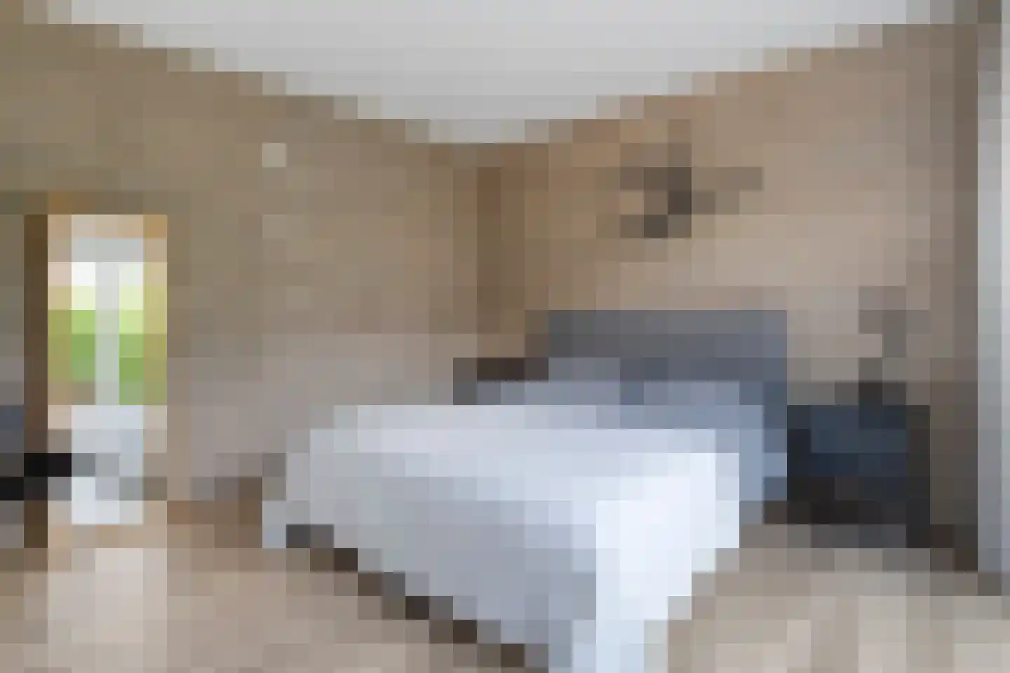 Vloeddijk 150 Kampen thumbnail 19
