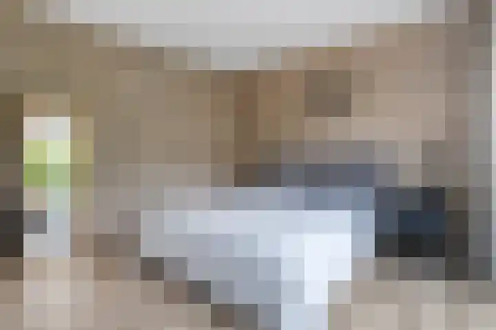 Vloeddijk 150 Kampen thumbnail 19