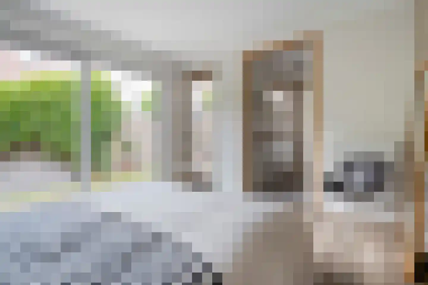 Vloeddijk 150 Kampen thumbnail 20