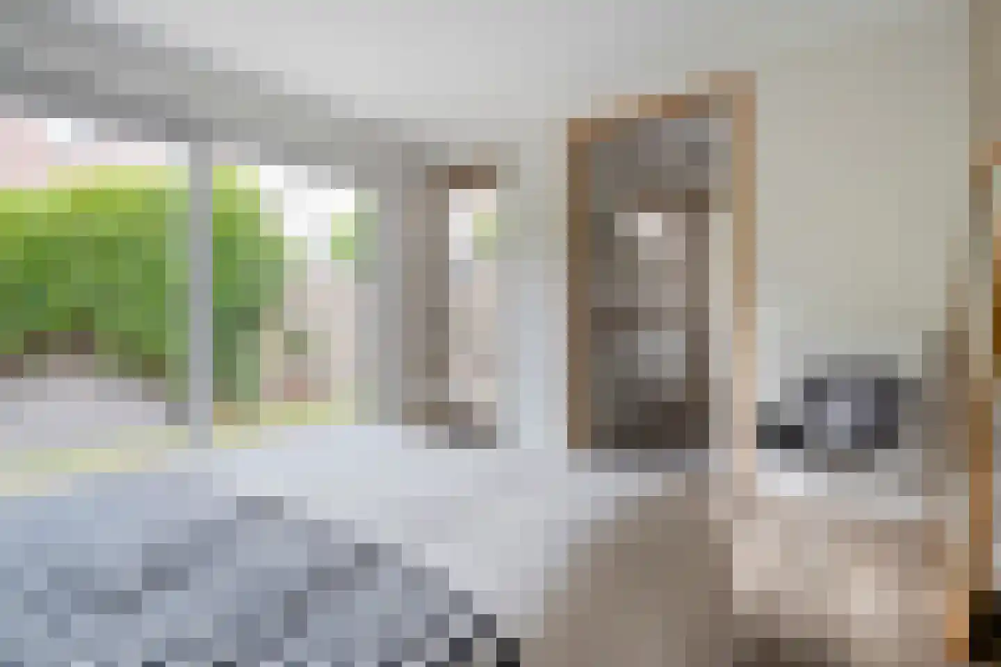 Vloeddijk 150 Kampen thumbnail 20