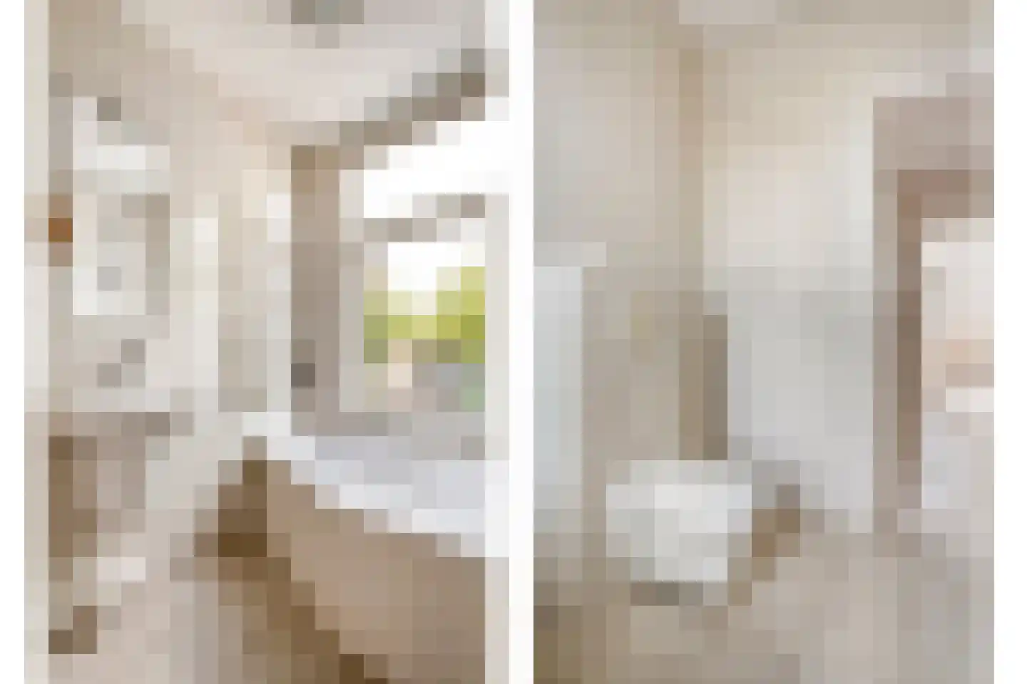 Vloeddijk 150 Kampen thumbnail 30