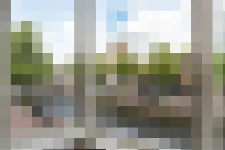 Vloeddijk 150 Kampen thumbnail 35