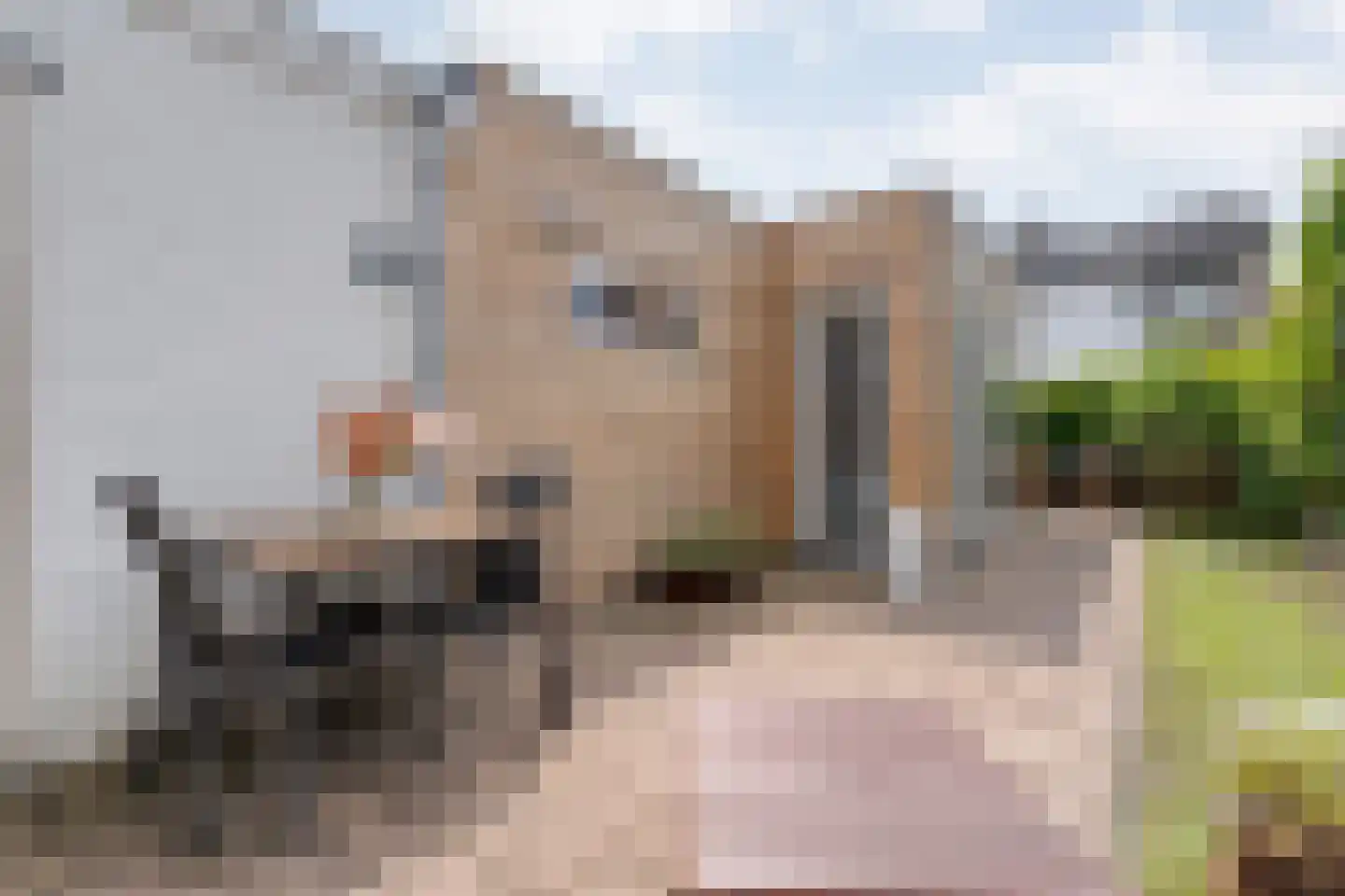 Vloeddijk 150 Kampen thumbnail 37