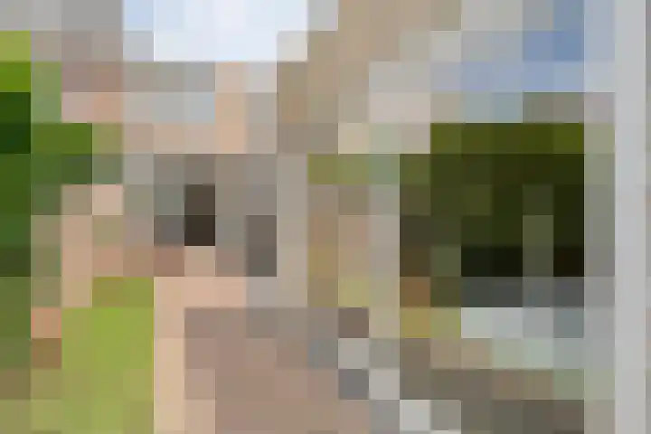 Vloeddijk 150 Kampen thumbnail 40