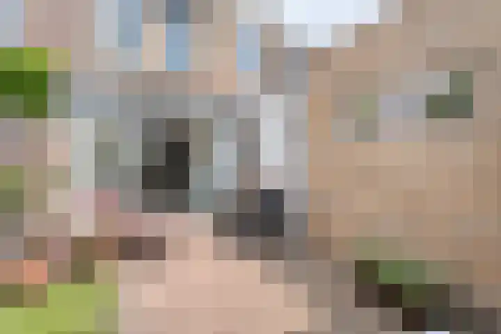 Vloeddijk 150 Kampen thumbnail 41