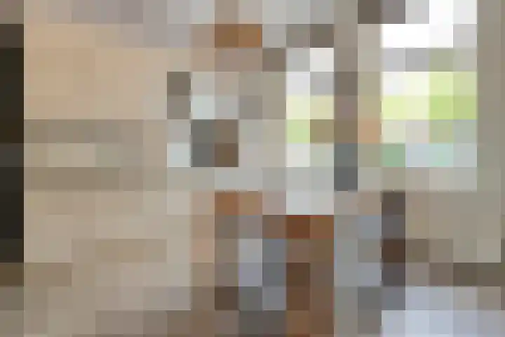 Vloeddijk 150 Kampen thumbnail 7