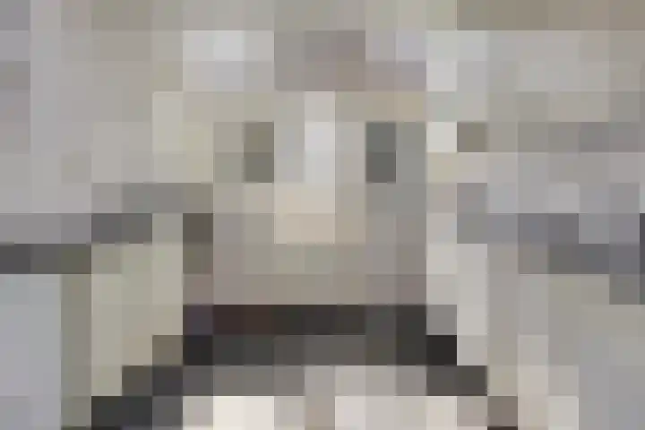 Vloeddijk 154 Kampen thumbnail 10