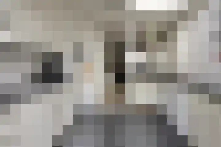 Vloeddijk 154 Kampen thumbnail 11