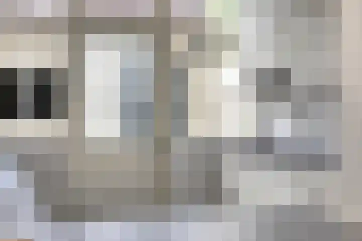 Vloeddijk 154 Kampen thumbnail 12