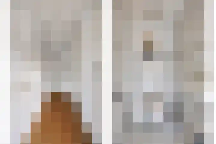Vloeddijk 154 Kampen thumbnail 15