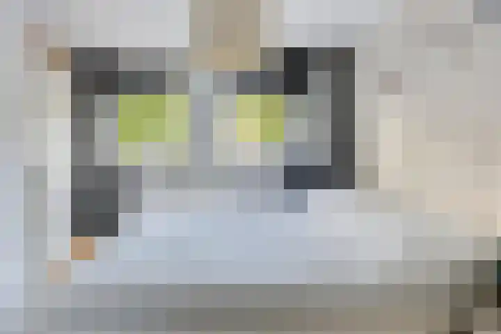 Vloeddijk 154 Kampen thumbnail 18
