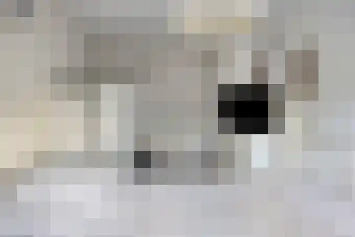 Vloeddijk 154 Kampen thumbnail 19