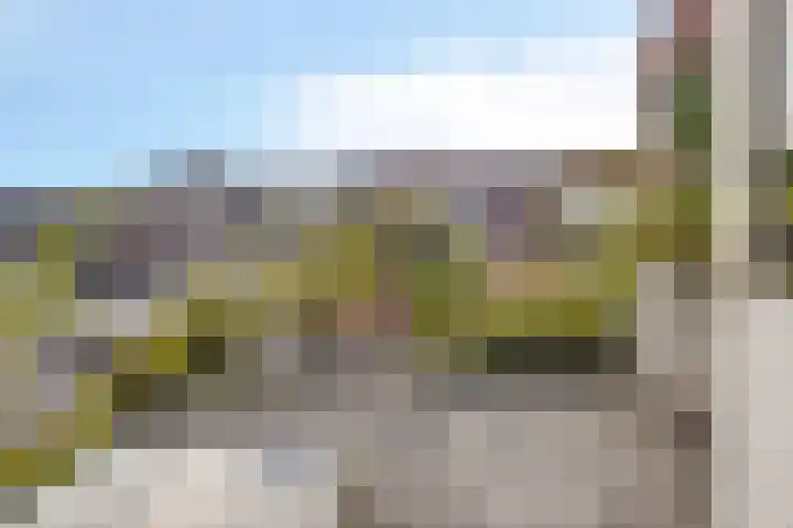 Vloeddijk 154 Kampen thumbnail 21