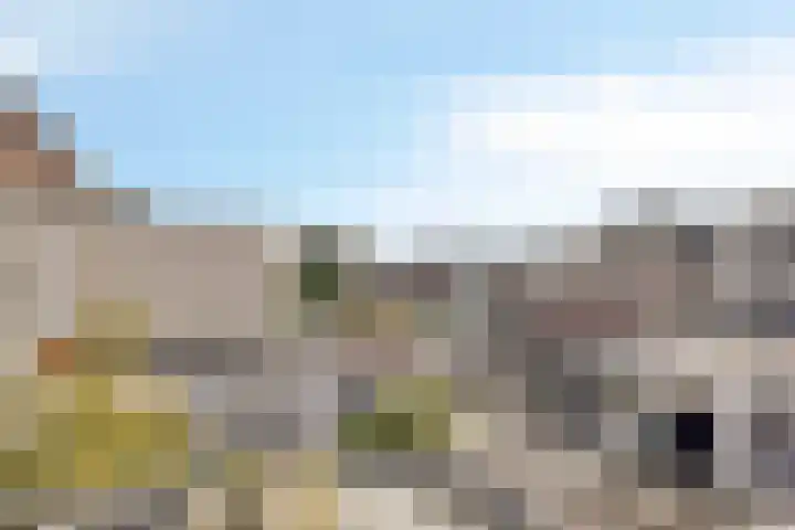 Vloeddijk 154 Kampen thumbnail 22