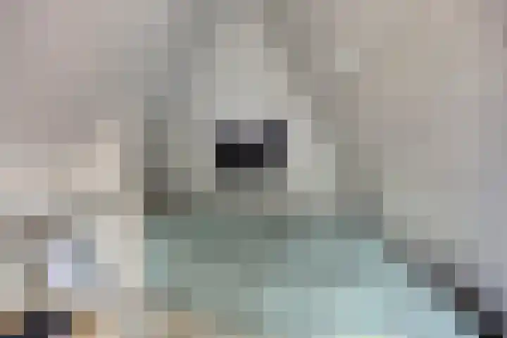 Vloeddijk 154 Kampen thumbnail 25