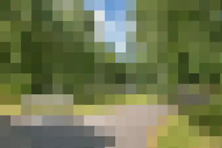 Vloeddijk 154 Kampen thumbnail 29