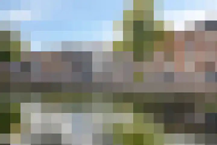 Vloeddijk 154 Kampen foto 3