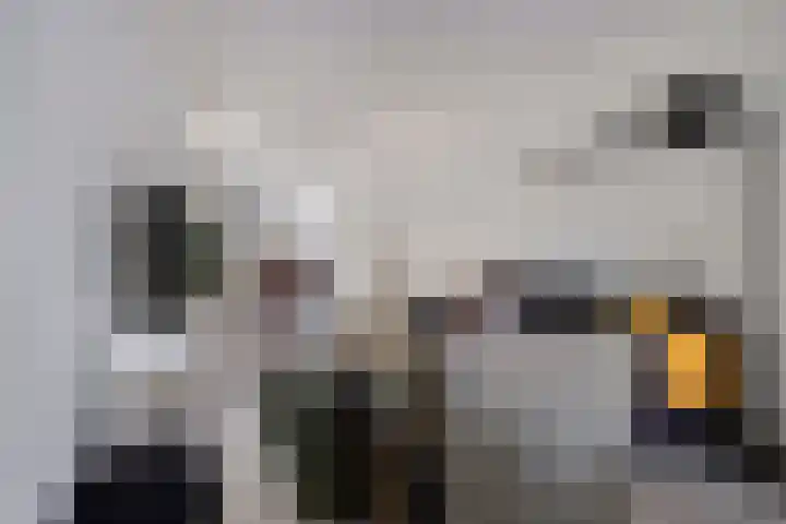 Vloeddijk 154 Kampen thumbnail 5