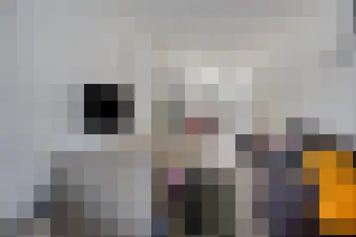 Vloeddijk 154 Kampen thumbnail 6
