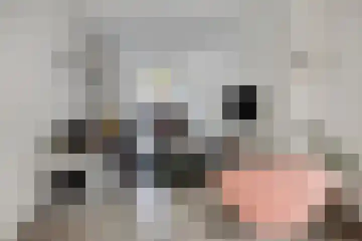 Vloeddijk 154 Kampen thumbnail 7