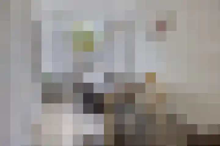 Vloeddijk 154 Kampen thumbnail 8