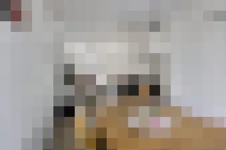 Vloeddijk 154 Kampen thumbnail 9