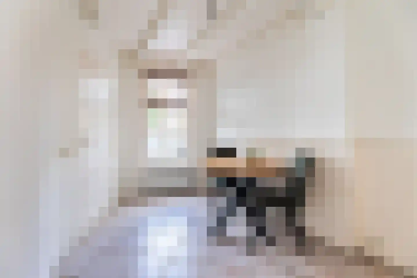 Vloeddijk 170 Kampen foto 2