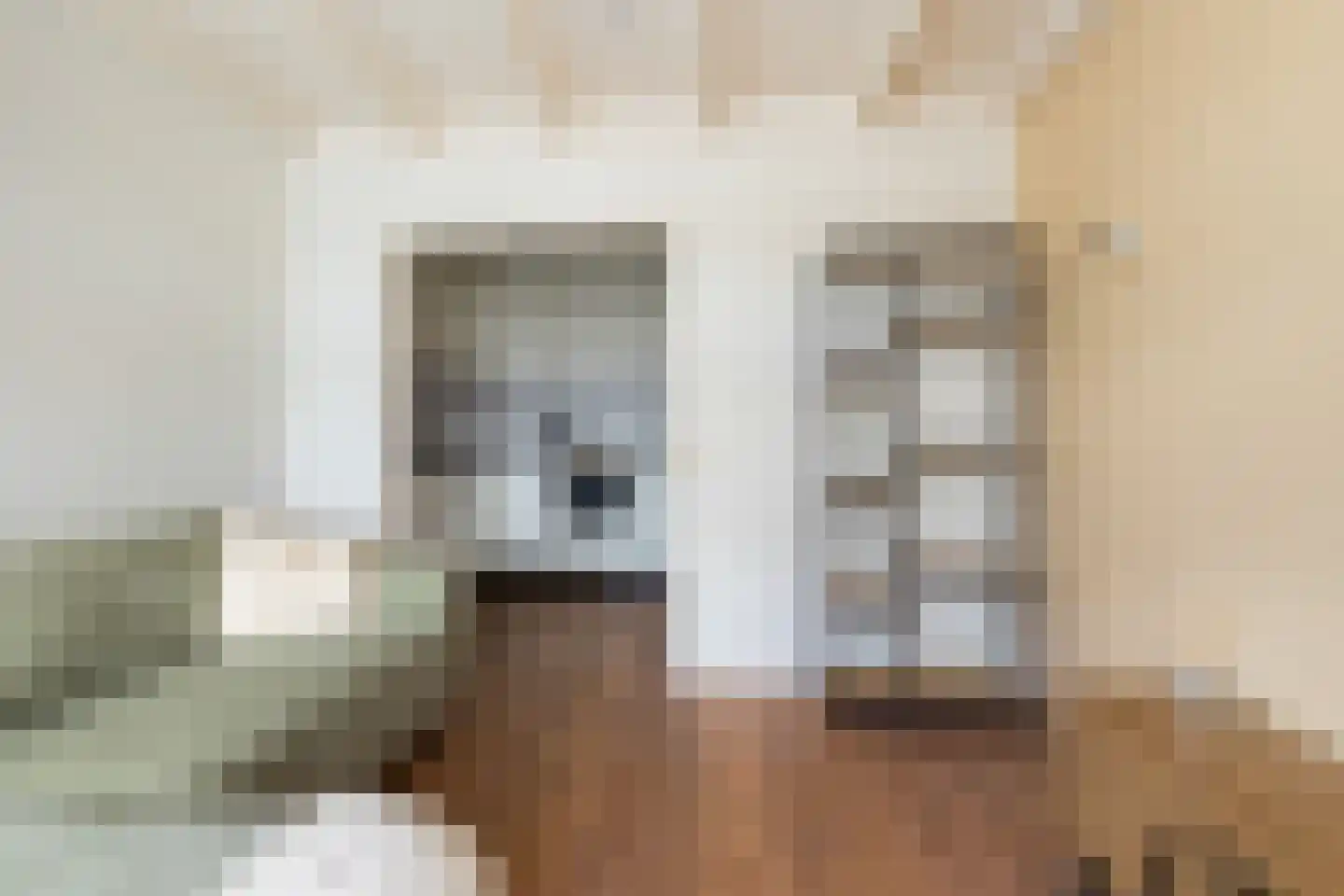 Vloeddijk 170 Kampen thumbnail 28