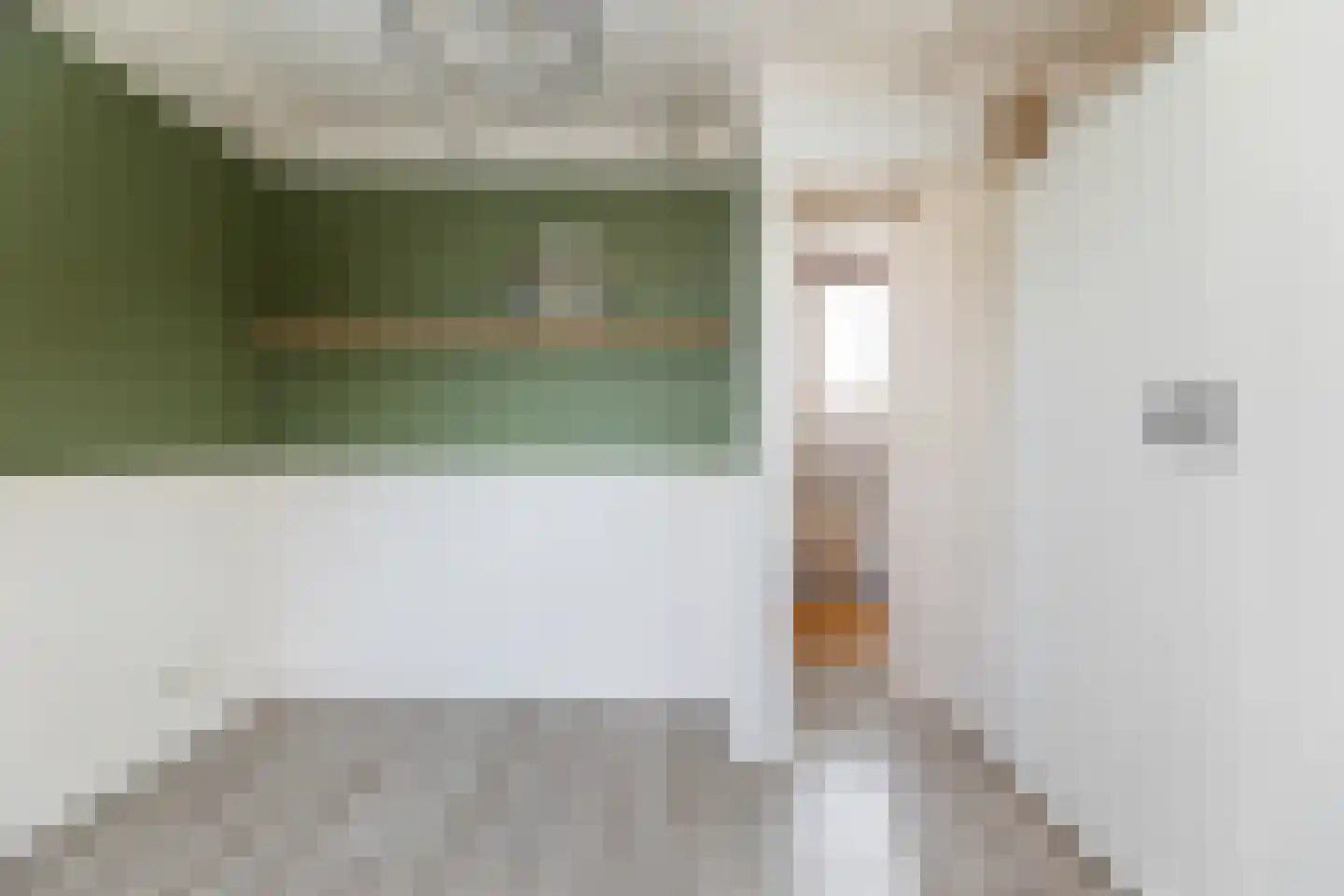 Vloeddijk 170 Kampen thumbnail 33