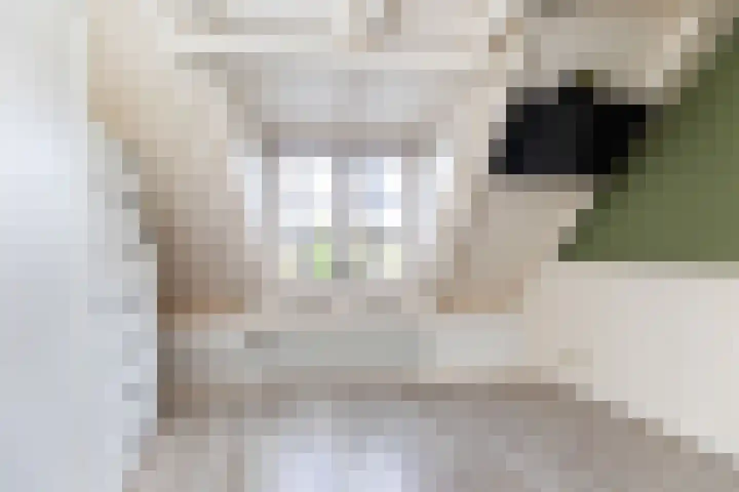 Vloeddijk 170 Kampen thumbnail 4