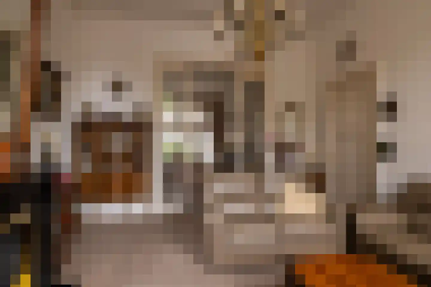 Vloeddijk 63 Kampen thumbnail 10