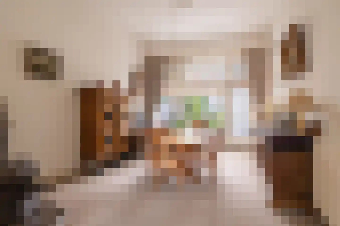 Vloeddijk 63 Kampen thumbnail 13