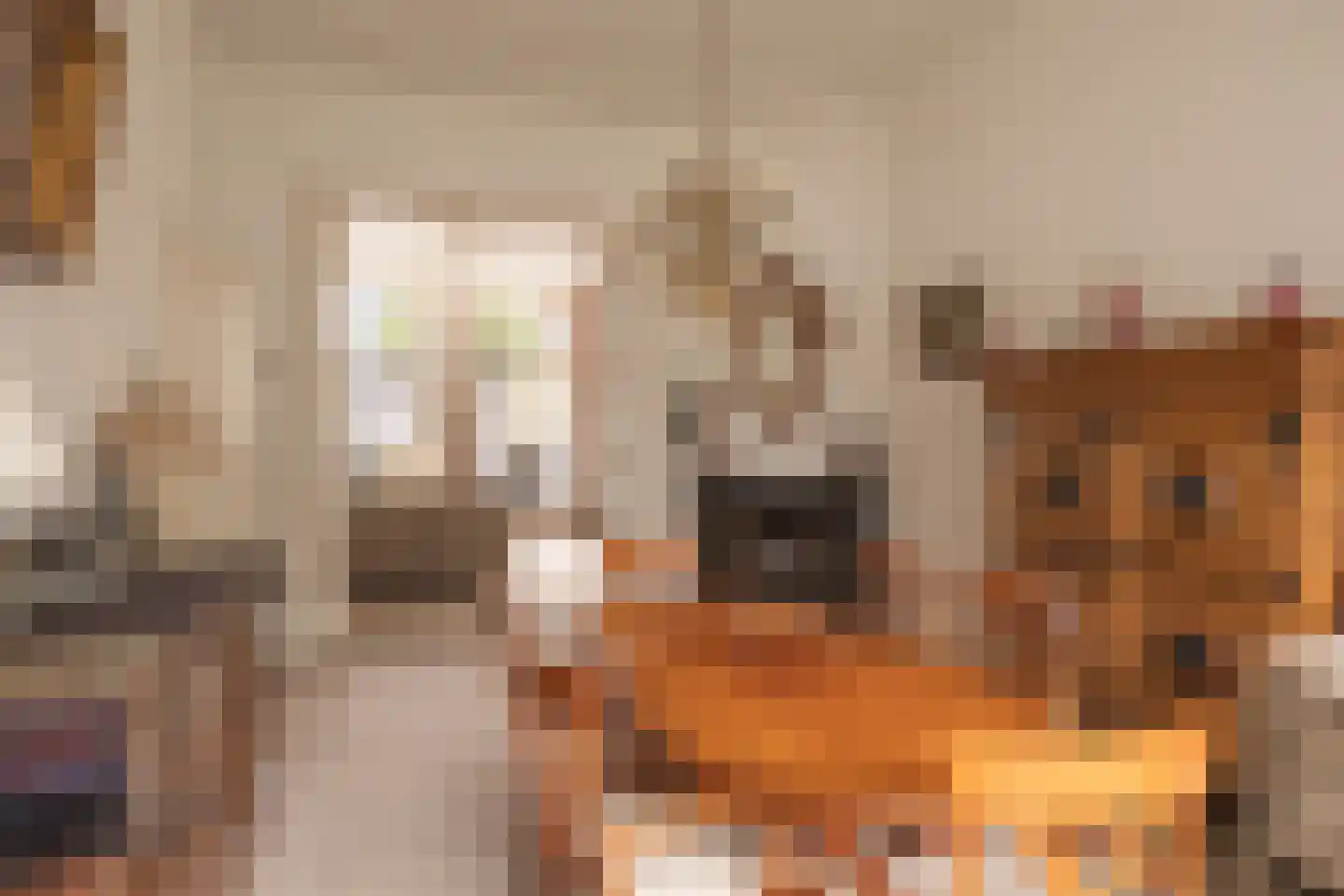 Vloeddijk 63 Kampen thumbnail 14