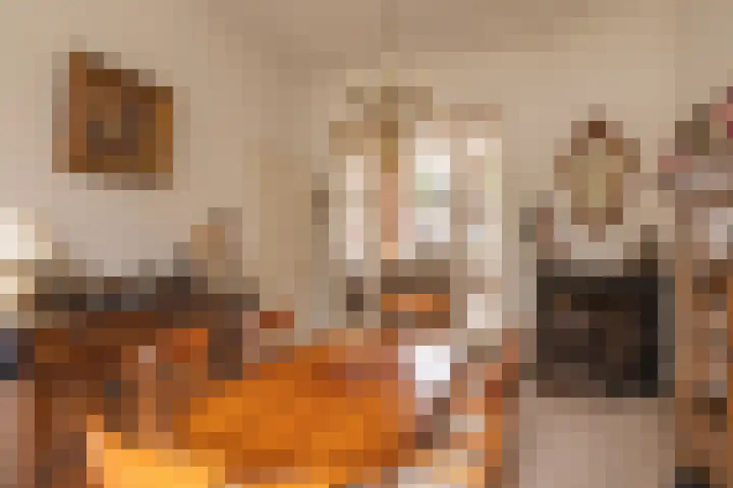 Vloeddijk 63 Kampen thumbnail 15