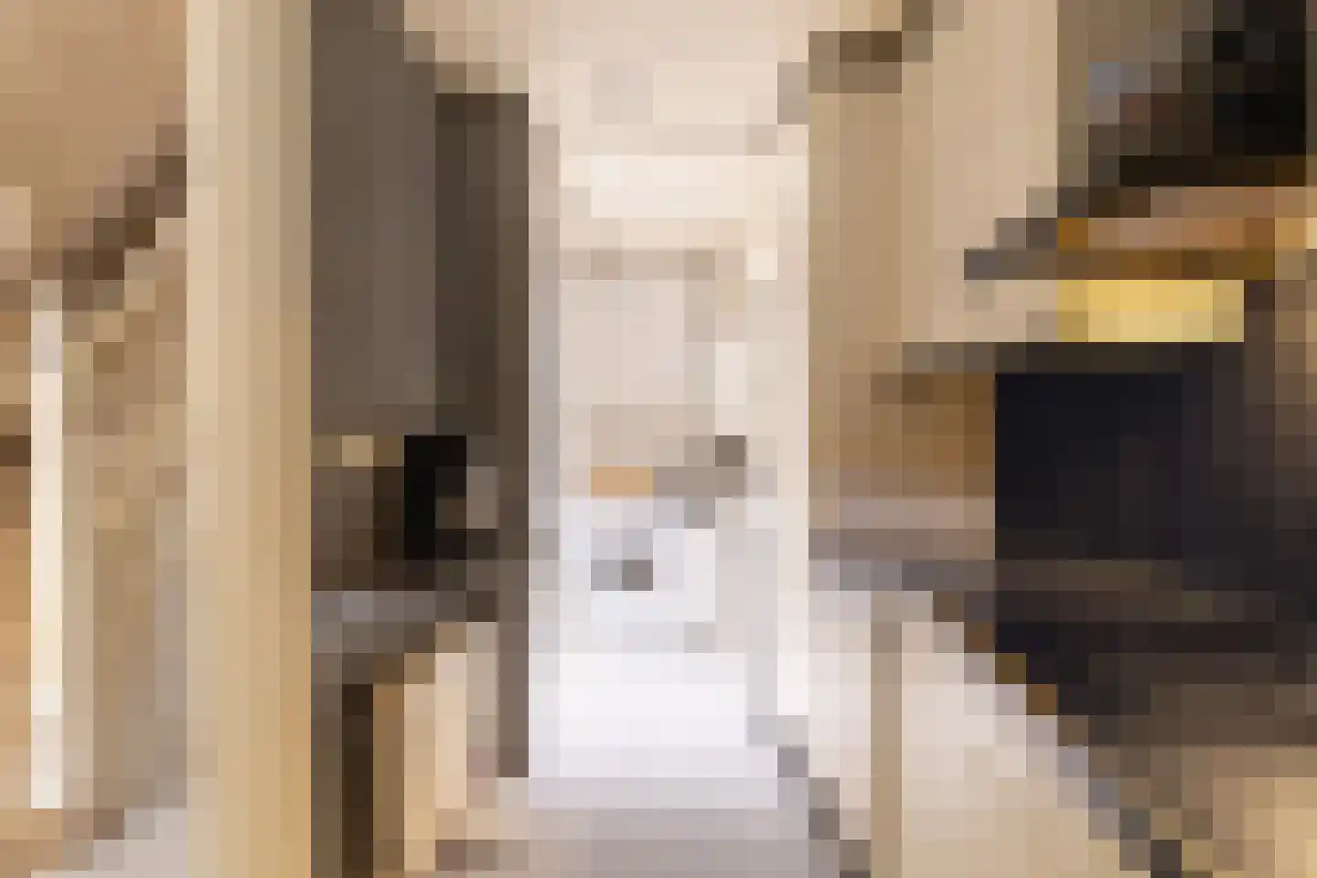 Vloeddijk 63 Kampen thumbnail 18