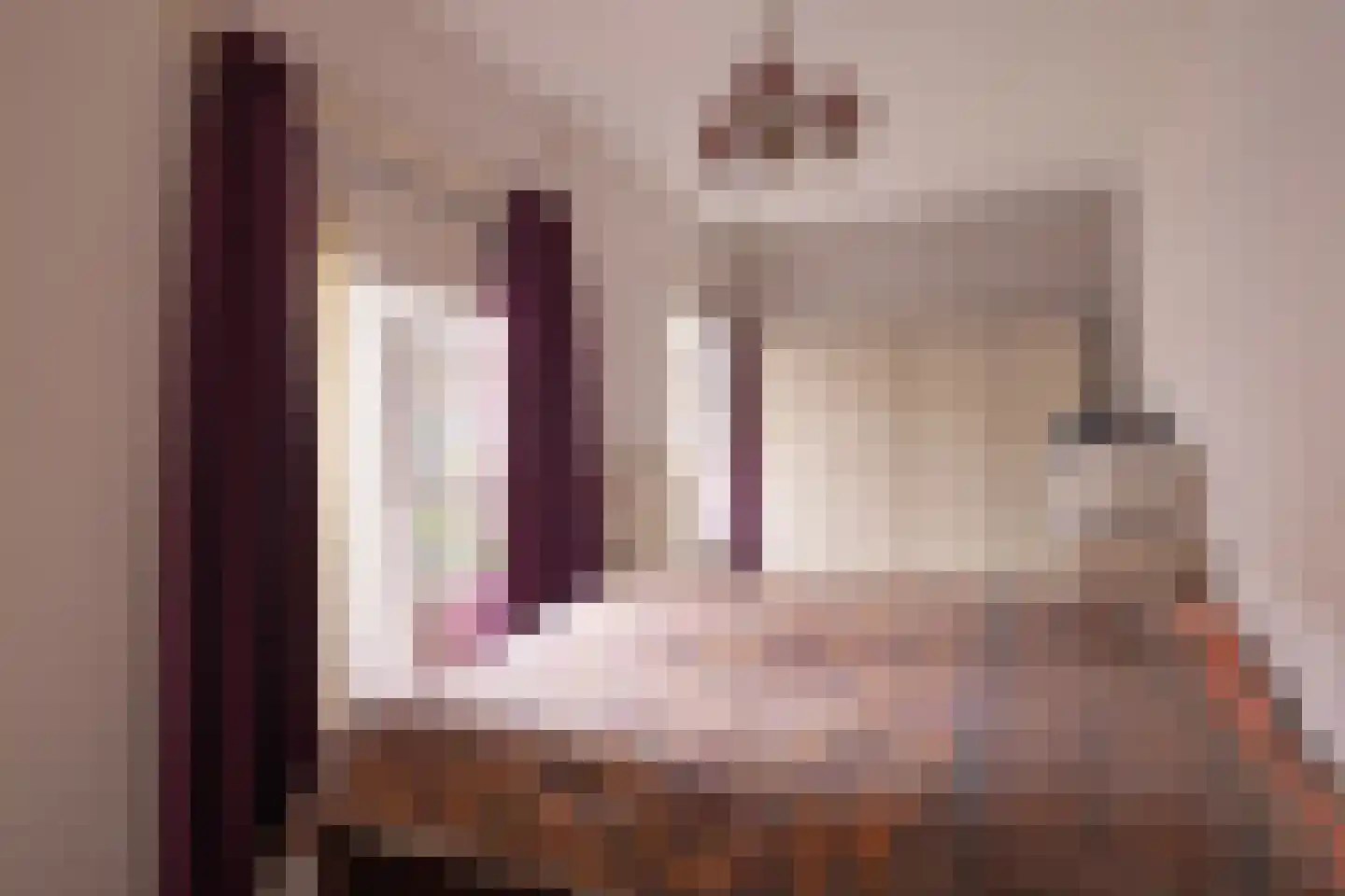 Vloeddijk 63 Kampen thumbnail 25