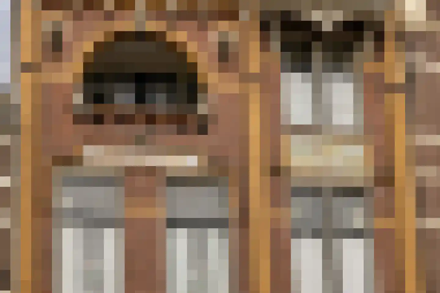 Vloeddijk 63 Kampen thumbnail 44