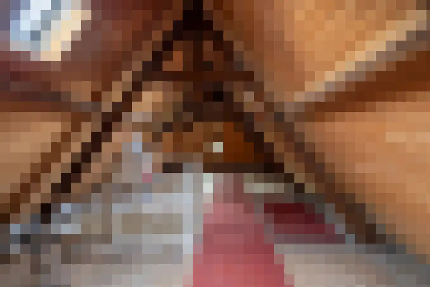 Vloeddijk 63 Kampen thumbnail 50