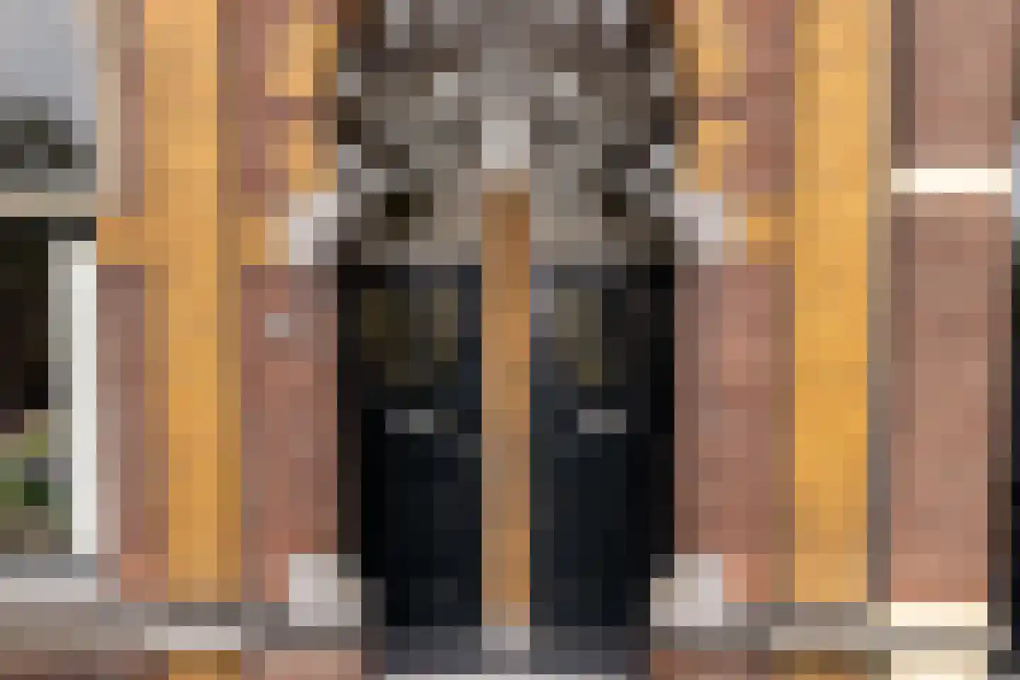 Vloeddijk 63 Kampen thumbnail 6