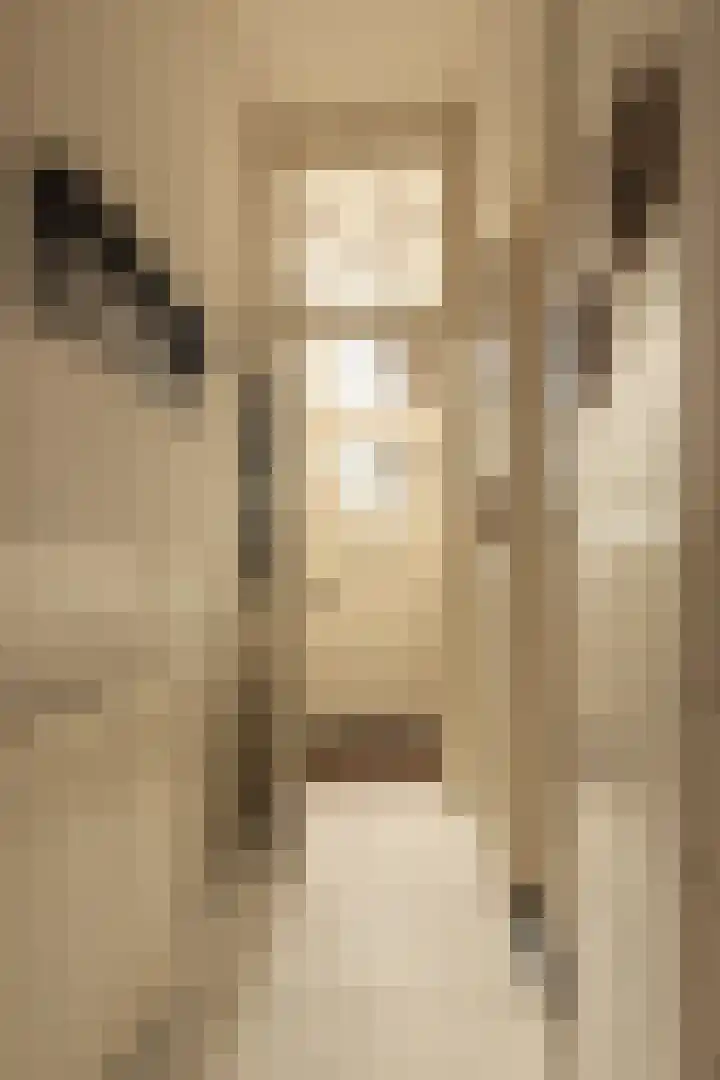 Vloeddijk 63 Kampen thumbnail 7